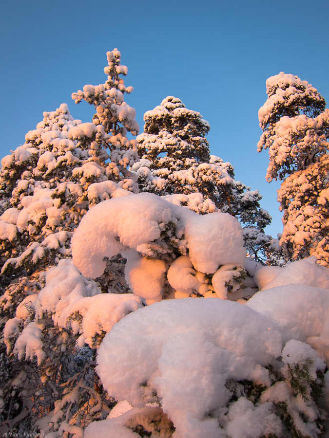 The midwinter sun
