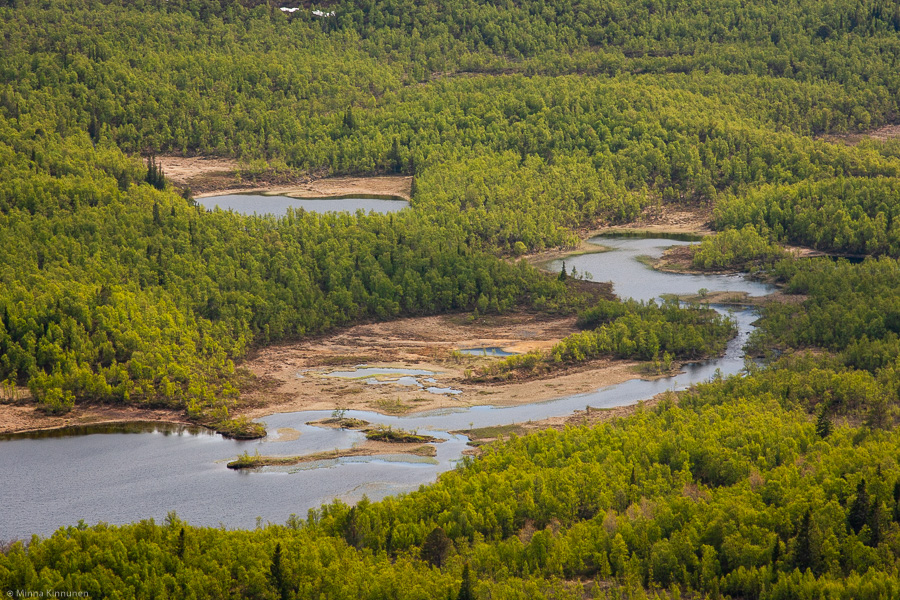 The Anådalen valley from the top of Kappruet. Look at all that forest!