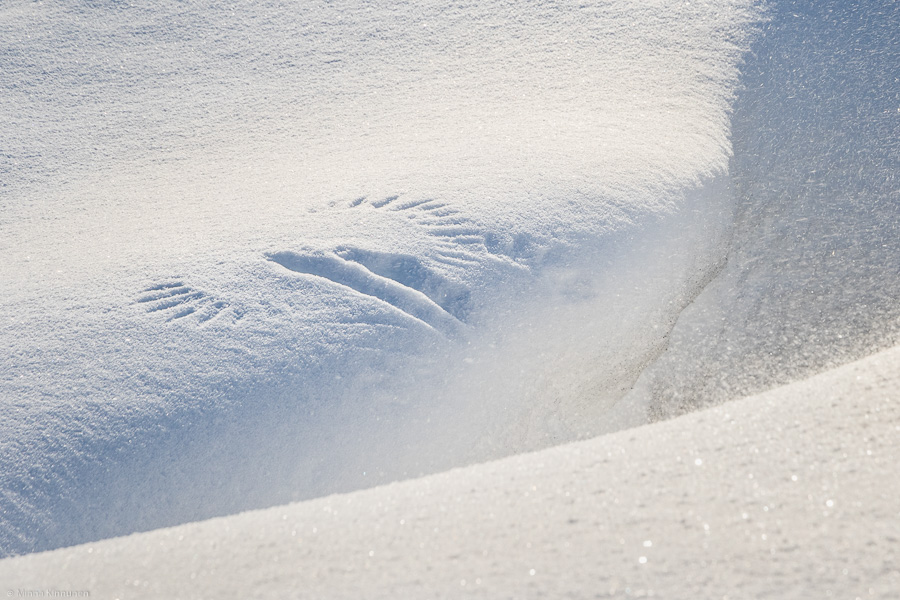 It is really windy today