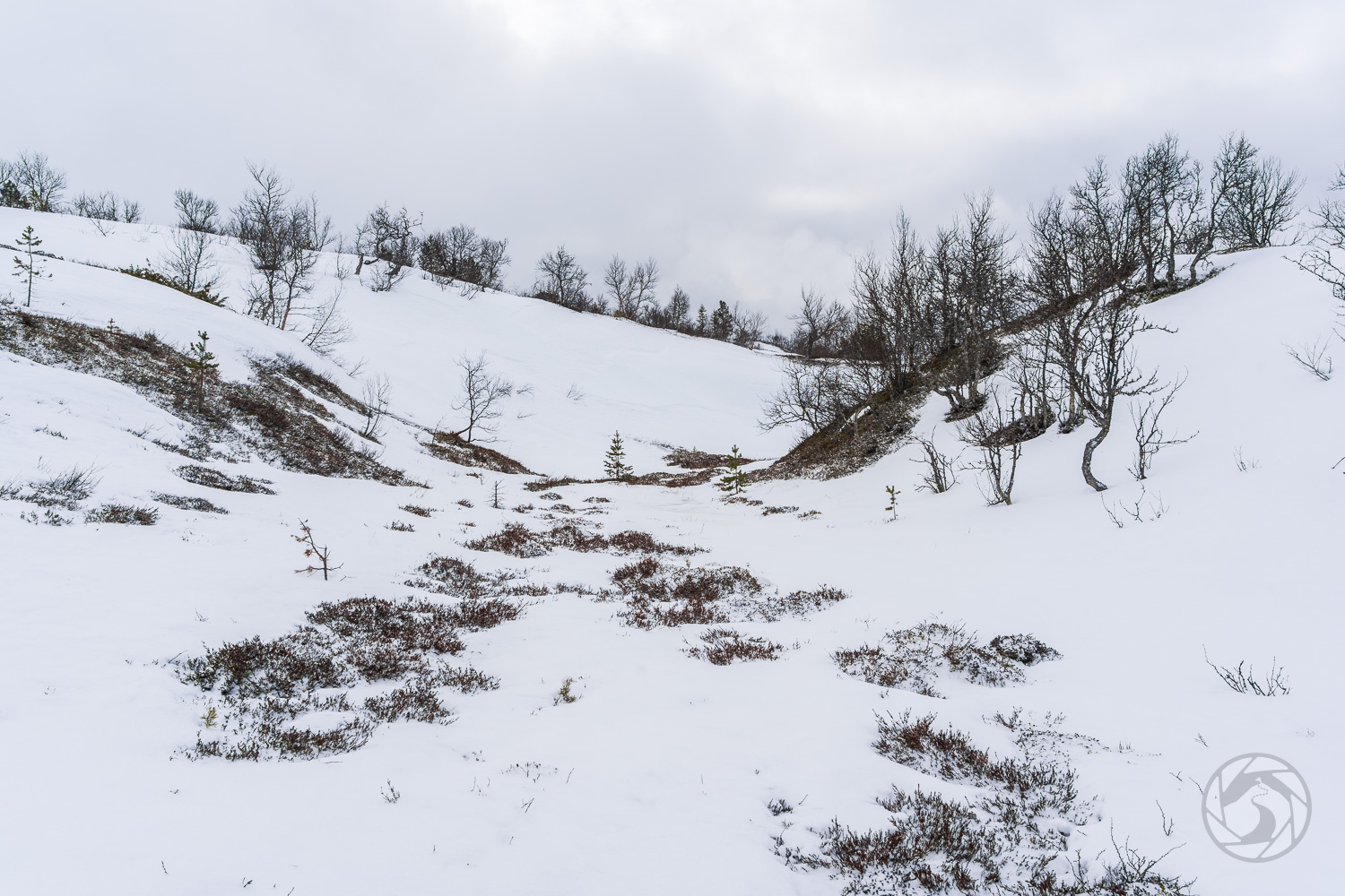 Skvalrännorna vid Sonfjället
