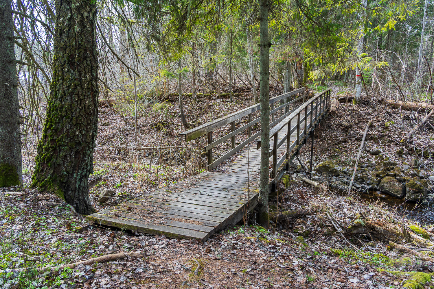 Åter i Färnebofjärden