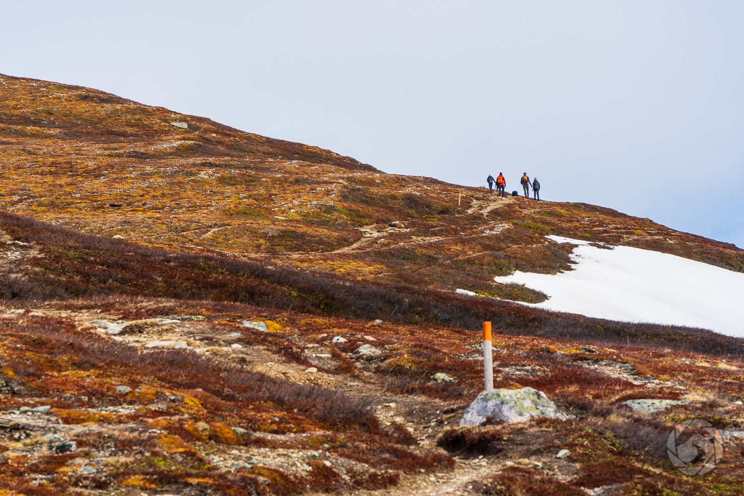 Vandrare på Hamrafjället i Funäsfjällen under tidig vår, med snöfläckar och kalfjäll i Härjedalen.