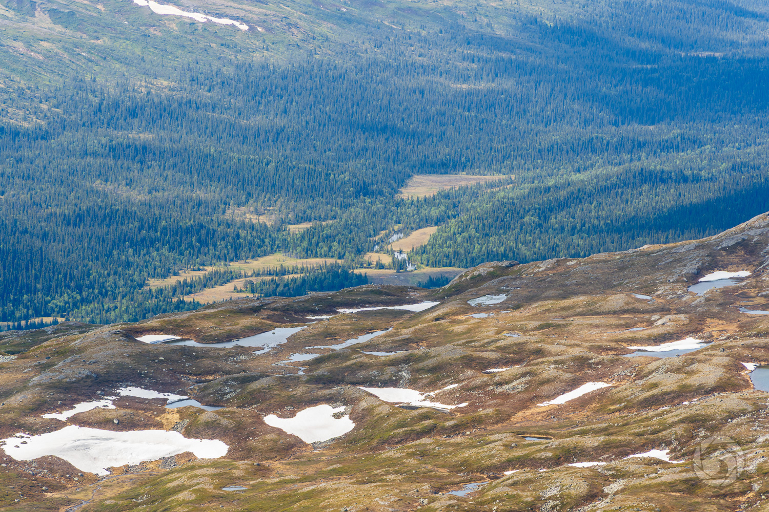 Utsikten från Västertoppen mot Rekdalen i Vålådalen