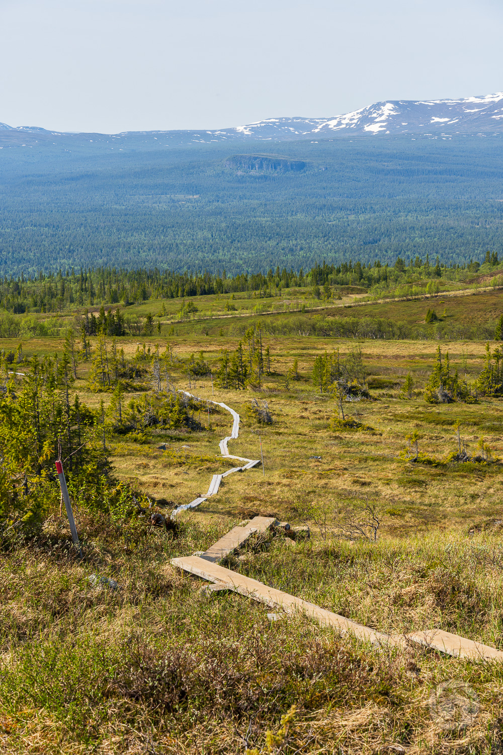 Leden upp på Ottfjället med utsikt mot Vålådalen i Jämtland