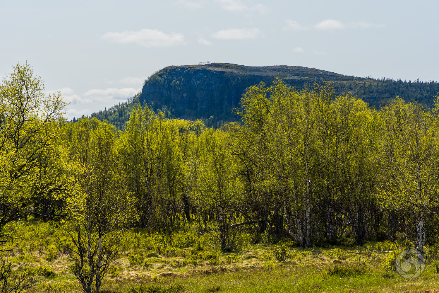 Uvberget sett från leden mot Vålåstugorna/Stensdalen