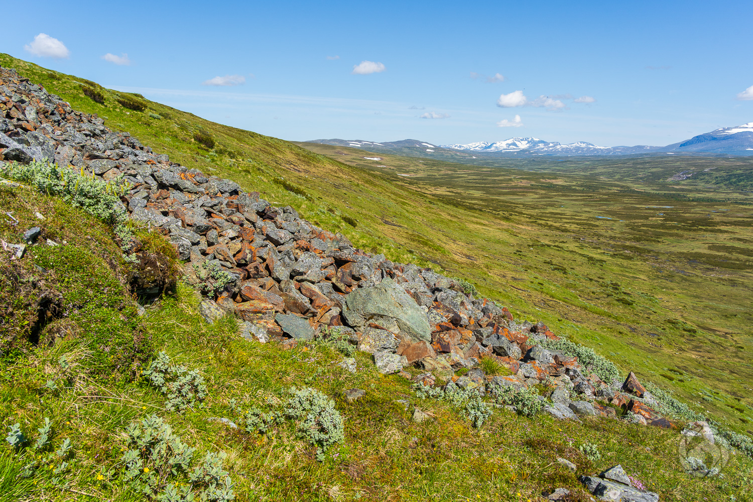 Slagghög vid gruvan vid Stor-Mittåkläppen i västra Härjedalsfjällen