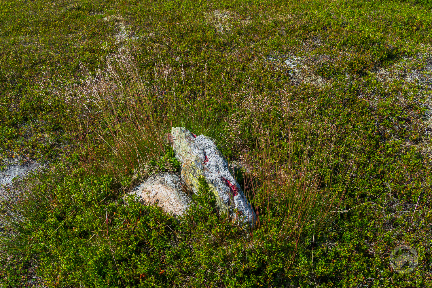 En sliten markering för pilgrimsleden Jämt-Norgevägen