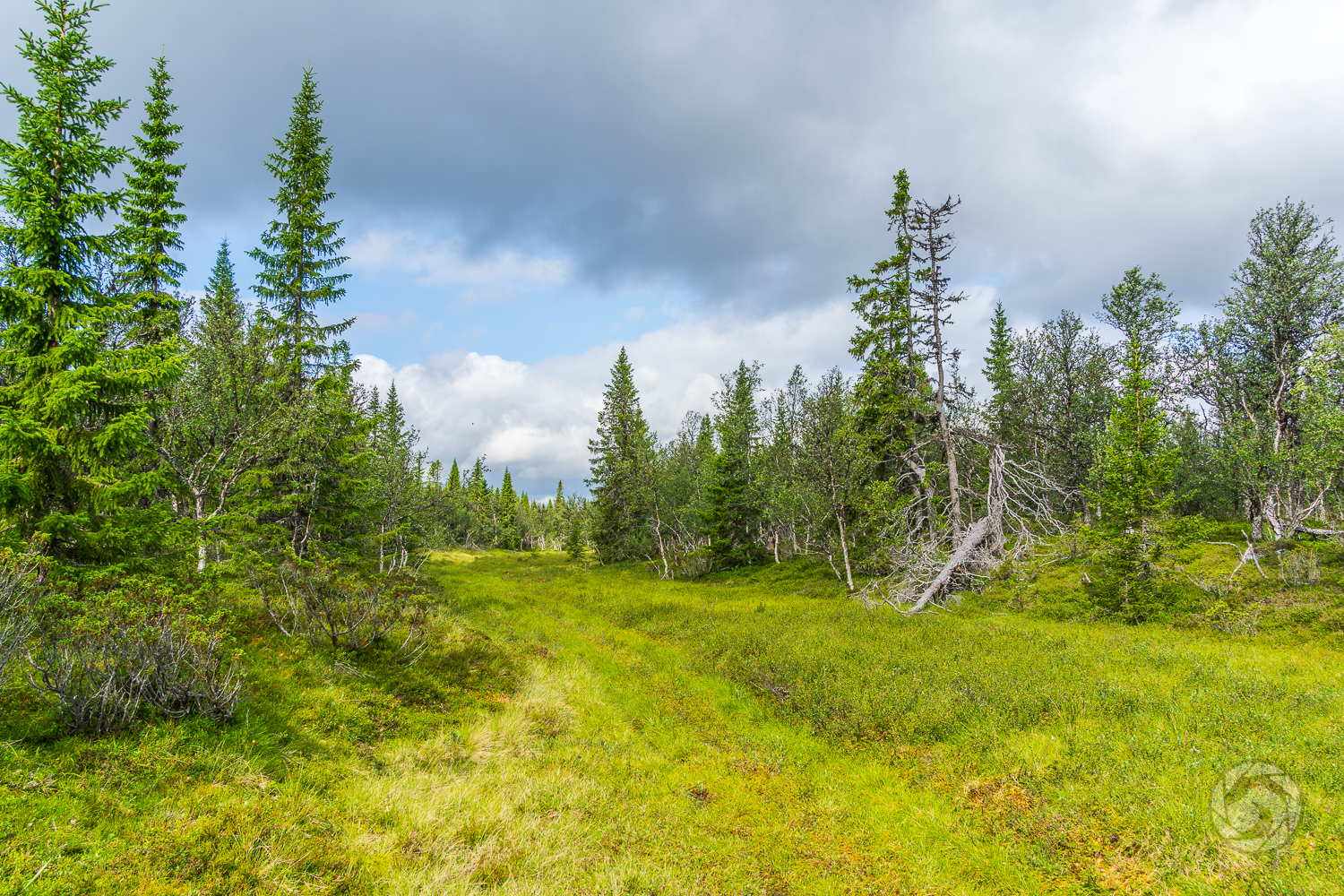 Fyrhjulingsspår på Smolet