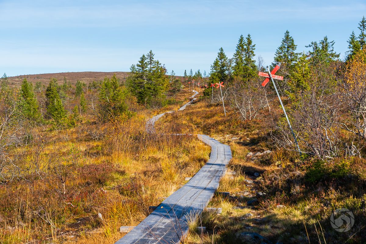 I don’t think I’m in Kansas anymore