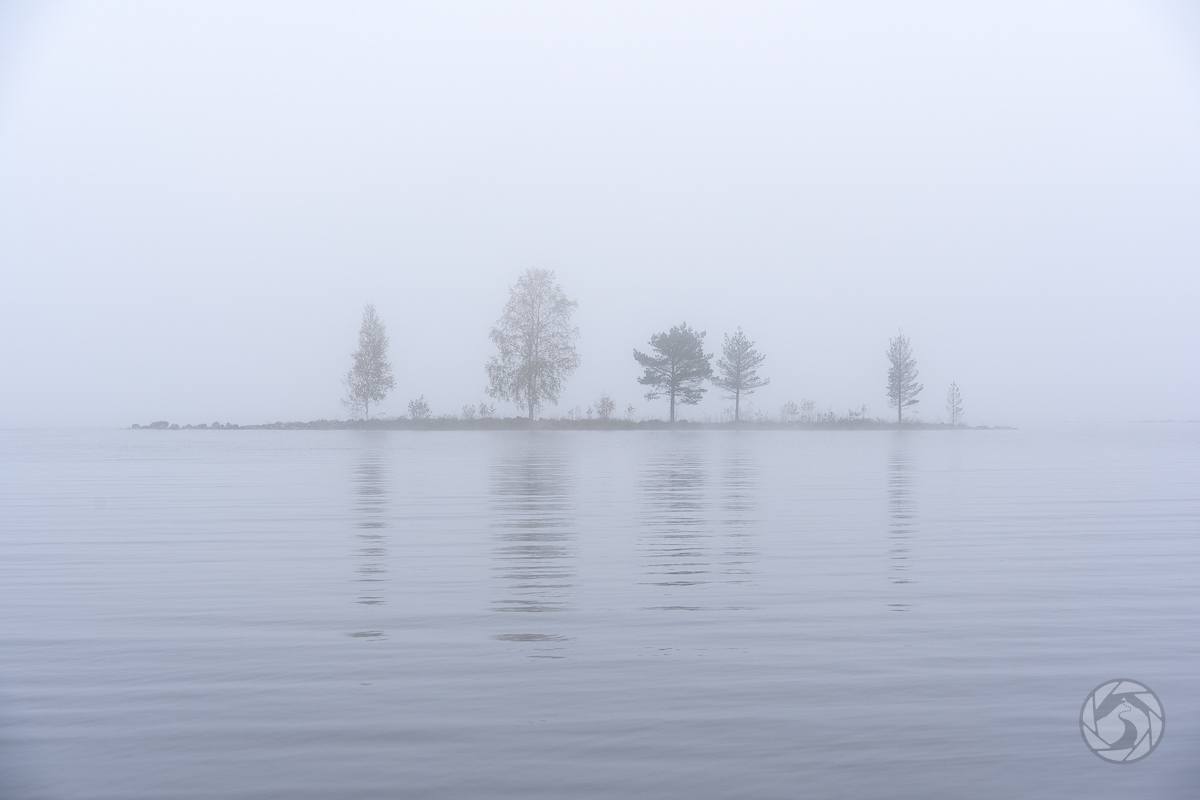 En liten strapats med oönskat sällskap