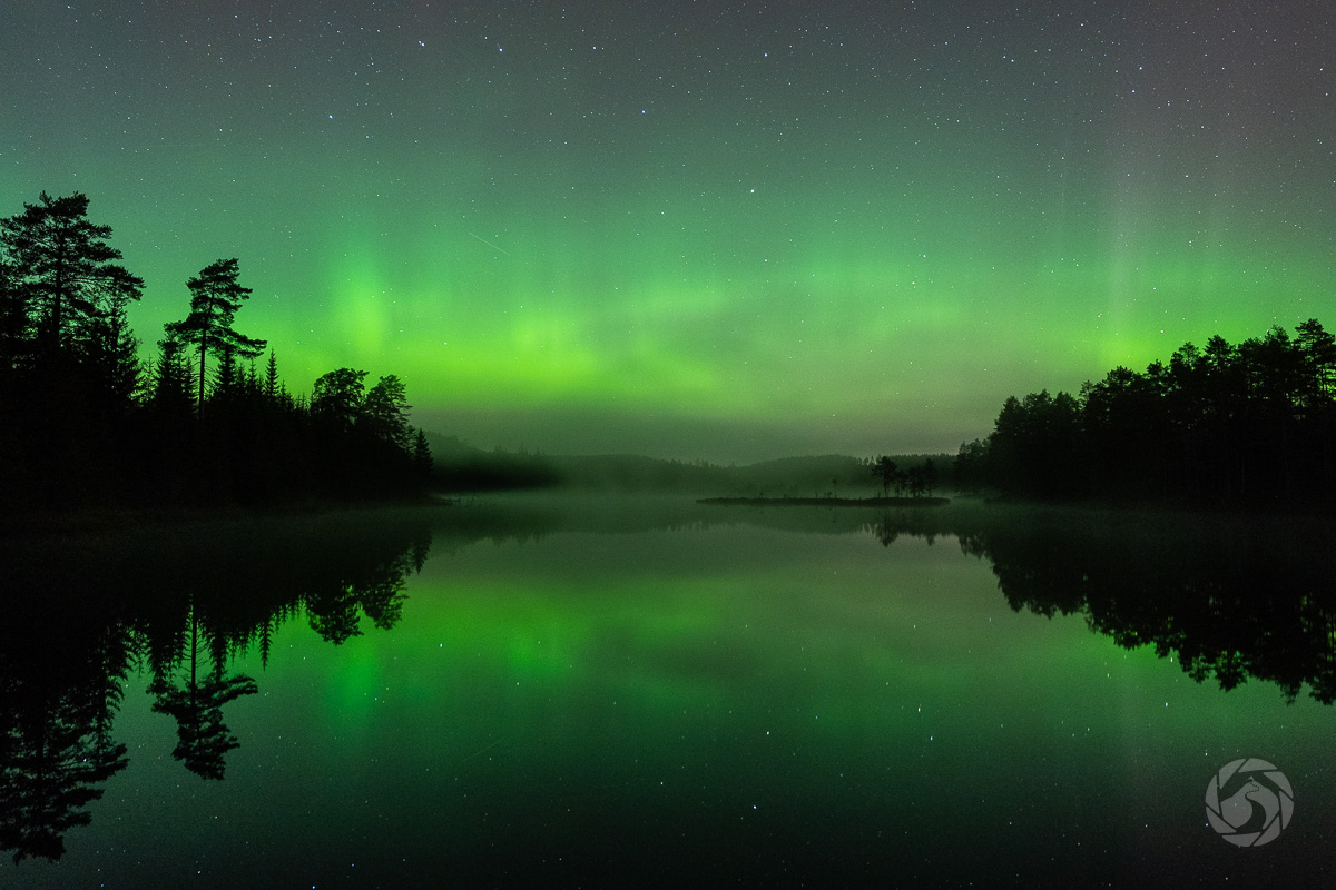 Från gröna skogar till grön himmel