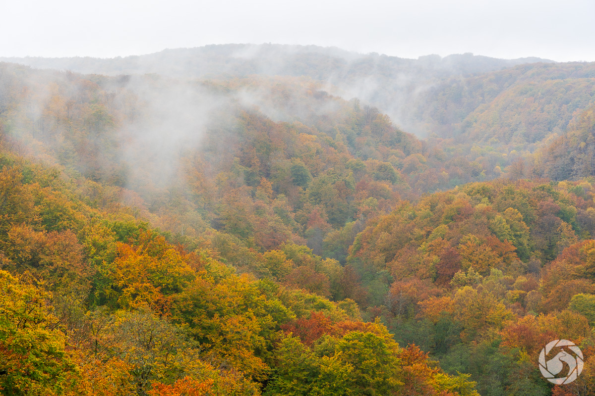 Äntligen höst i Söderåsen