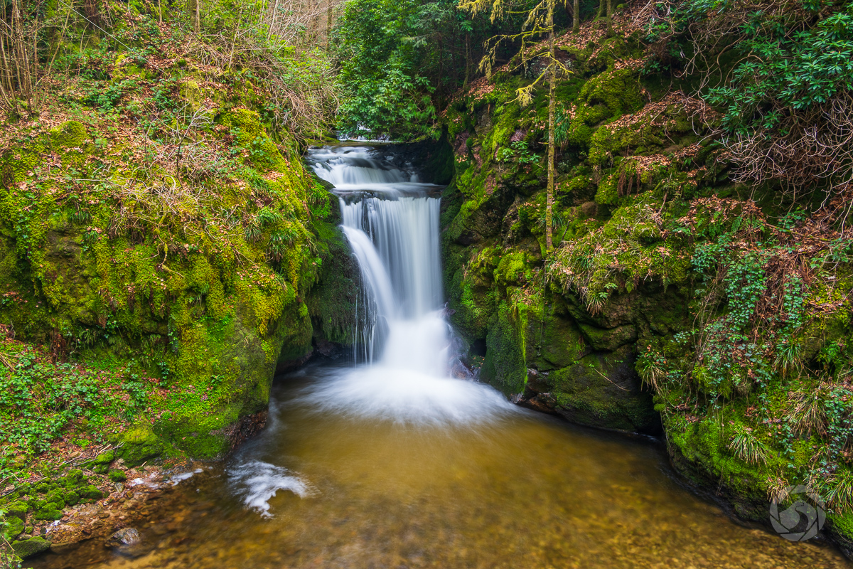Den långa resan hem
