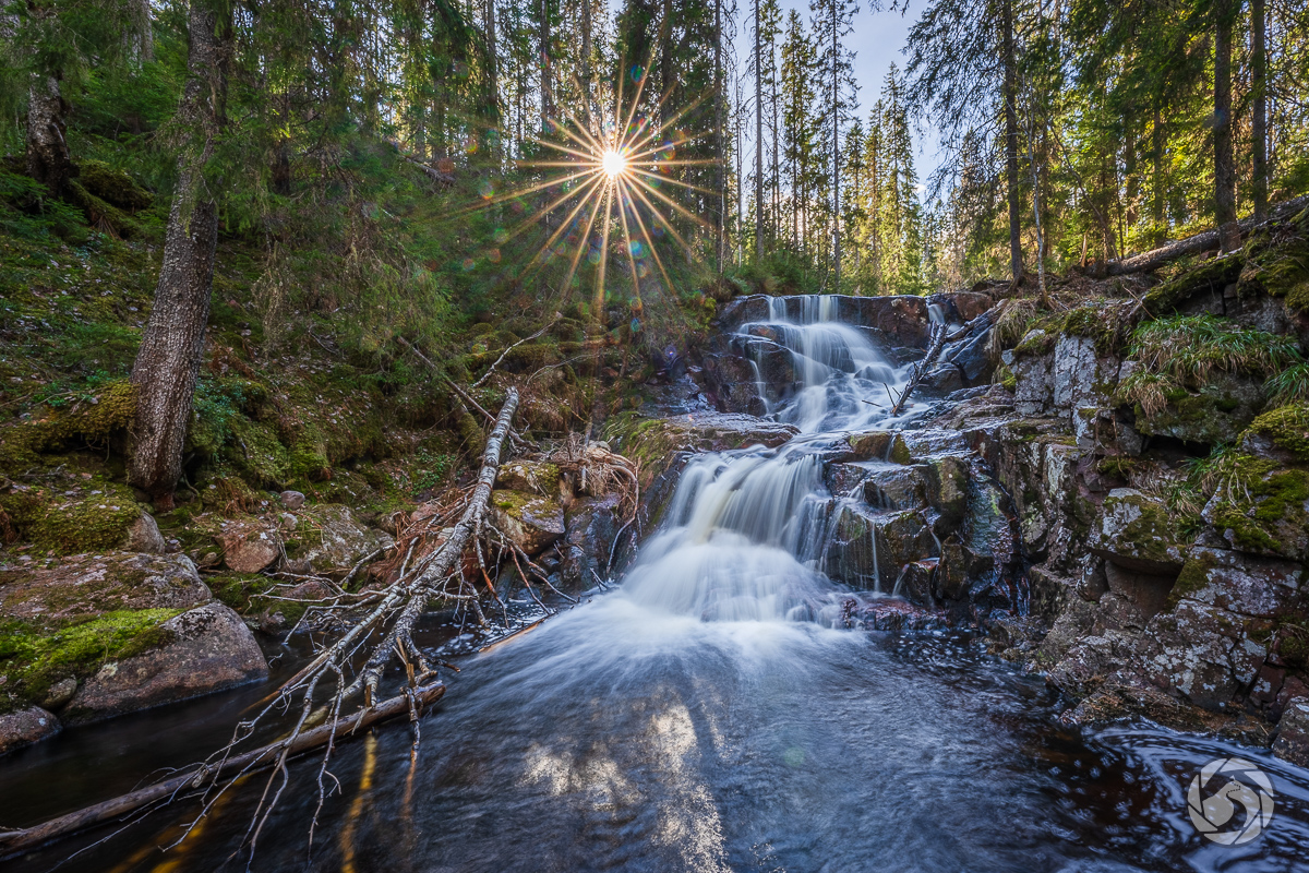 Oväntat fynd i Skuleskogens nationalpark