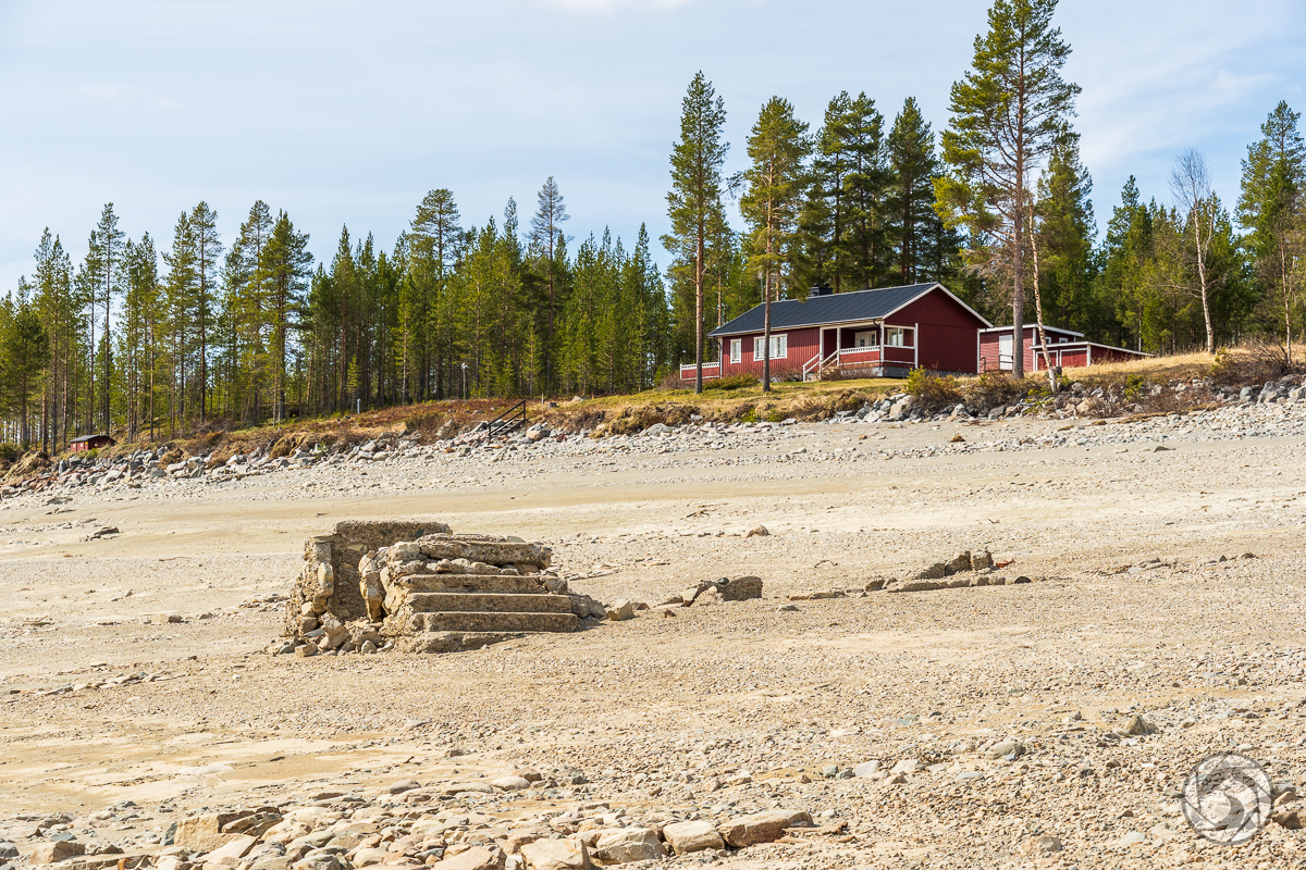Valmåsen stiger ur vattnet