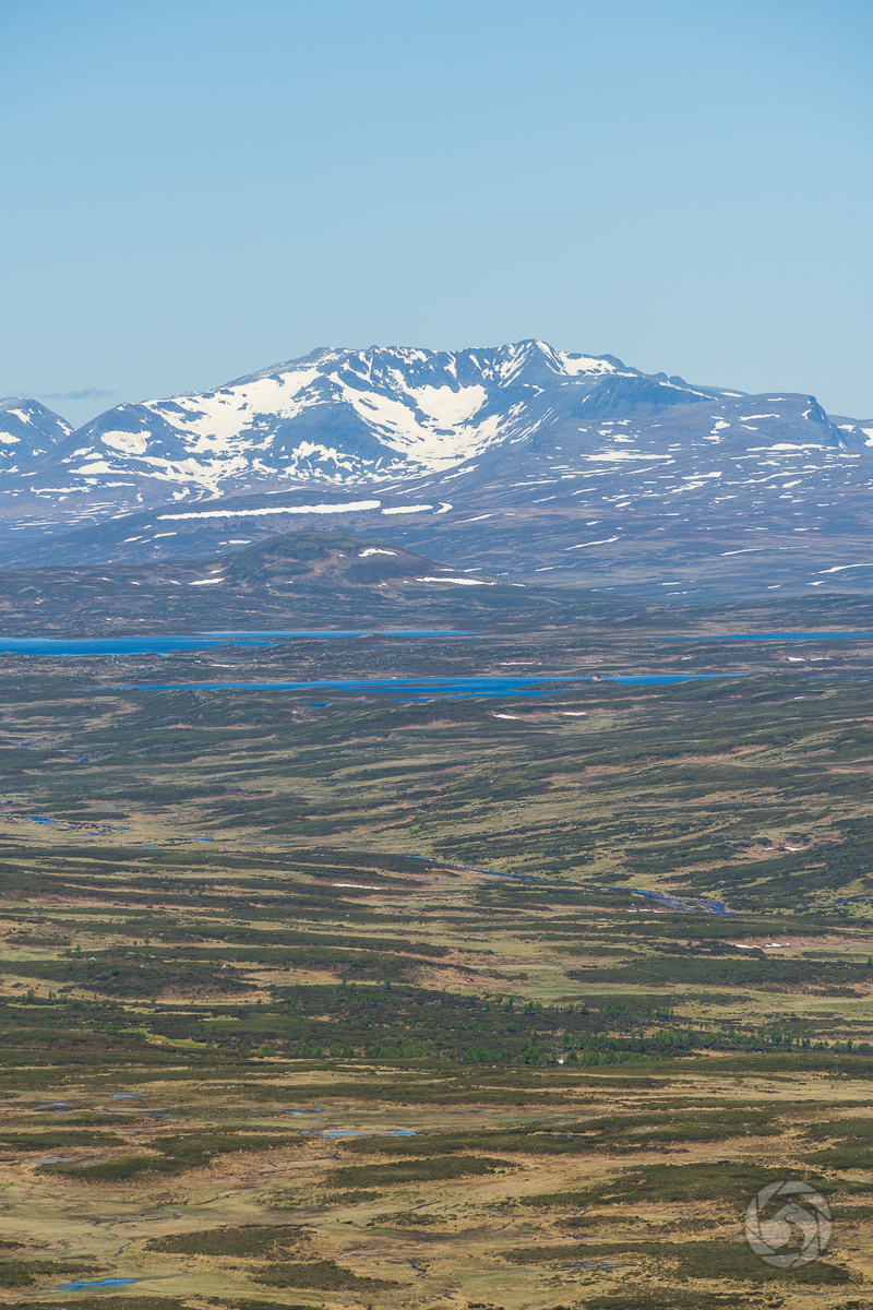 Glaciärprojektet startar nu: Försommarmagi på Stor-Mittåkläppen